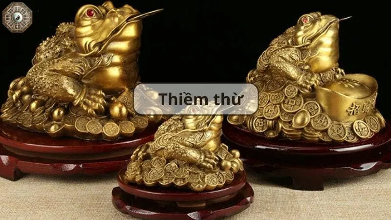 Top 12 vật phẩm phong thủy giữ tiền trong nhà mà bạn nên biết 4