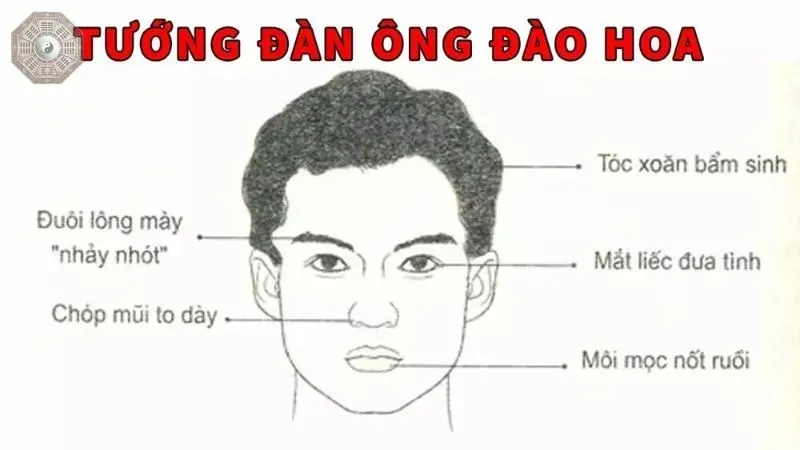 Tướng mặt đàn ông nói lên điều gì? Giải mã bí ẩn qua từng nét mặt 2