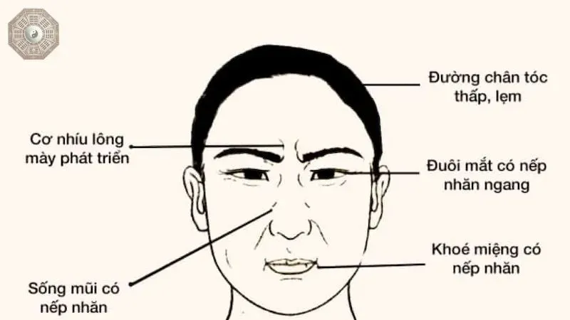 Tướng mặt đàn ông nói lên điều gì? Giải mã bí ẩn qua từng nét mặt 3