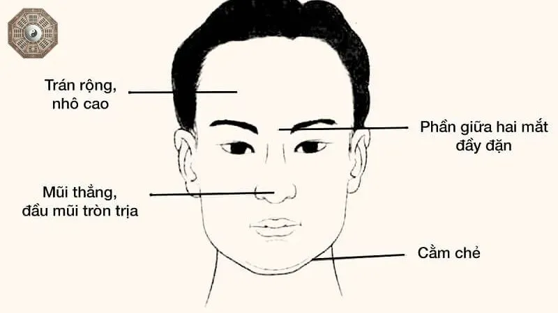 Xem tướng mặt - Đường công danh, tình duyên qua từng nét mặt 3