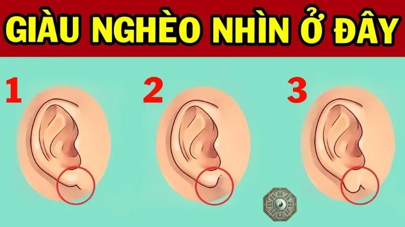 Xem tướng người giàu - Dấu hiệu nhận biết người có vận mệnh phú quý 1