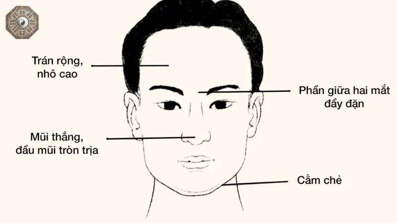 Xem tướng người thông minh - Những dấu hiệu nhận biết rõ ràng nhất 3