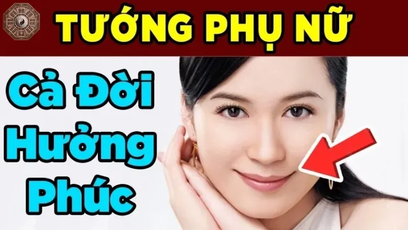 Tướng mặt phụ nữ và vận mệnh - Sự thật có thể bạn chưa từng nghe 4