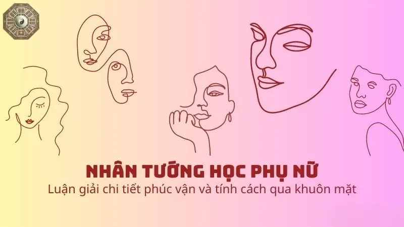 Tướng mặt phụ nữ và vận mệnh - Sự thật có thể bạn chưa từng nghe 5