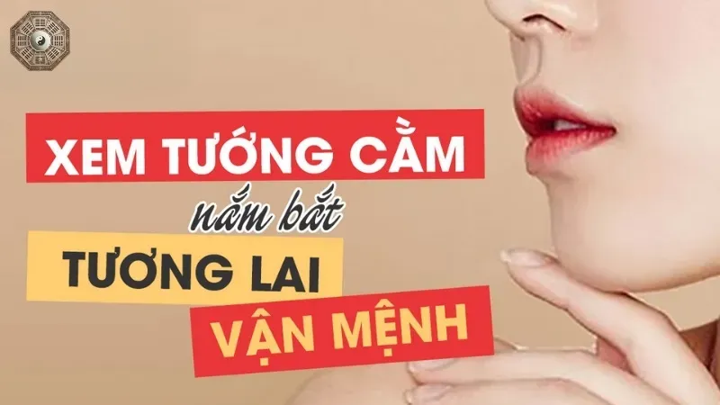 Cằm tiết lộ điều gì về bạn? Khám phá bí ẩn nhân tướng học