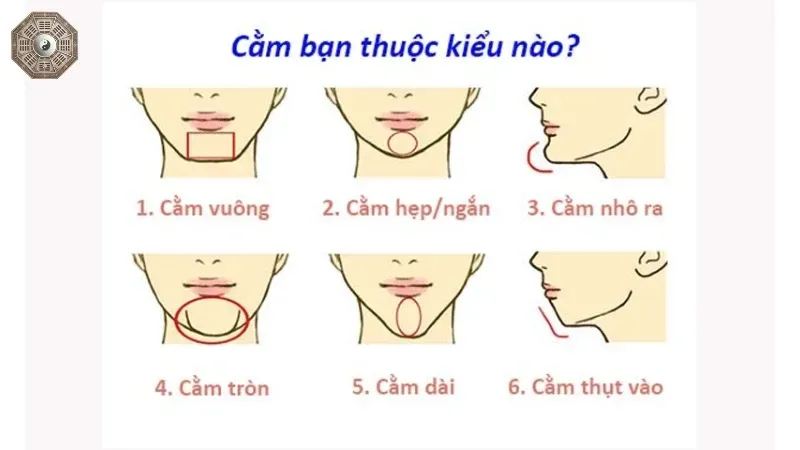 Cằm tiết lộ điều gì về bạn? Khám phá bí ẩn nhân tướng học 1