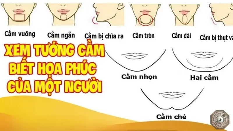 Cằm tiết lộ điều gì về bạn? Khám phá bí ẩn nhân tướng học 3