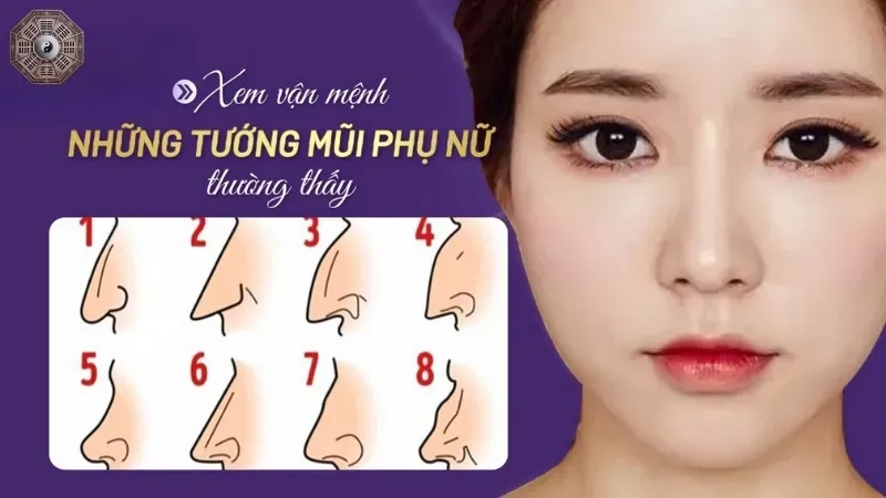 Xem tướng qua dáng mũi - 5 bí mật giúp bạn hiểu rõ bản thân hơn 2