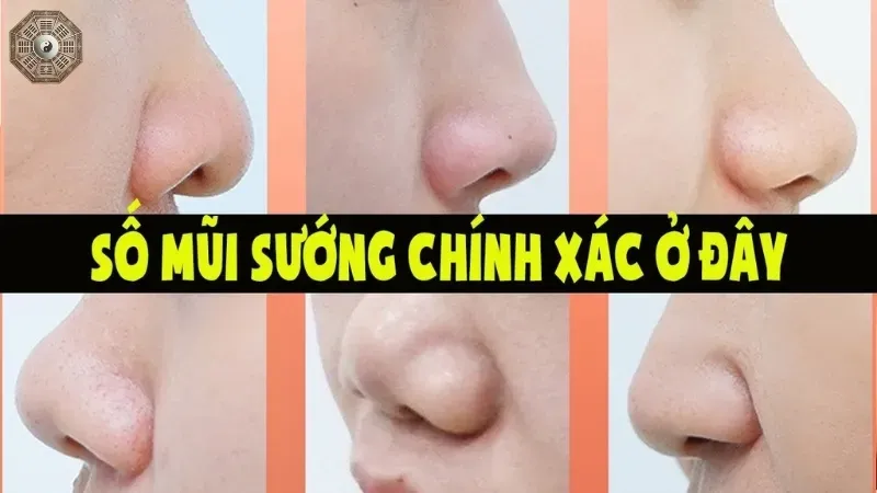 Xem tướng qua dáng mũi - 5 bí mật giúp bạn hiểu rõ bản thân hơn 3