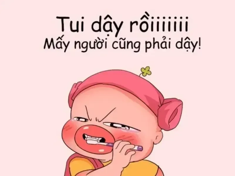 Tìm ảnh đại diện Zalo phù hợp với cá tính và hình ảnh của bạn.