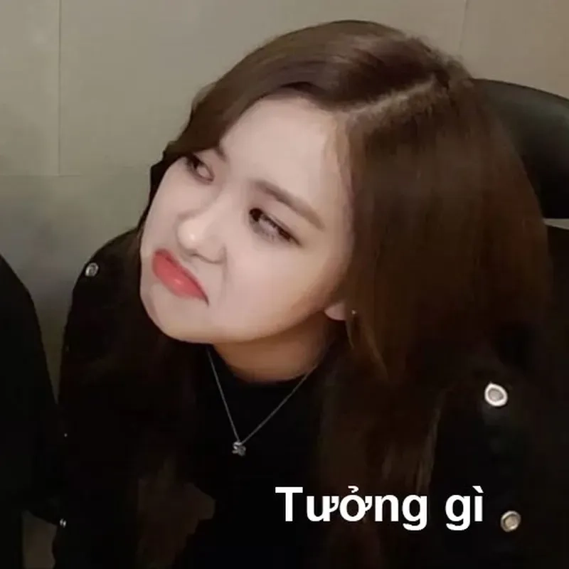 Blackpink house meme ghi lại những khoảnh khắc đáng yêu của nhóm