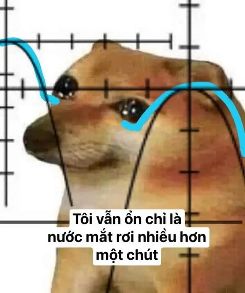 Meme hài bựa Cheems mang đến những khoảnh khắc hài hước độc đáo khiến bạn phải bật cười!