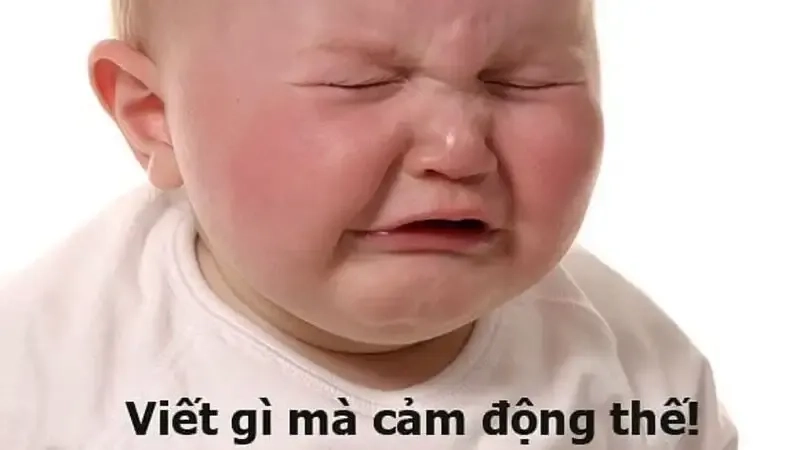 Cute meme hài hước, đầy biểu cảm đáng yêu để chia sẻ với bạn bè ngay.