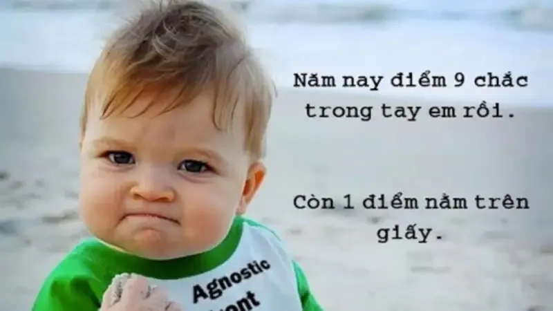 Cute meme hài dễ thương, mang đến sự thoải mái và niềm vui cho người xem.