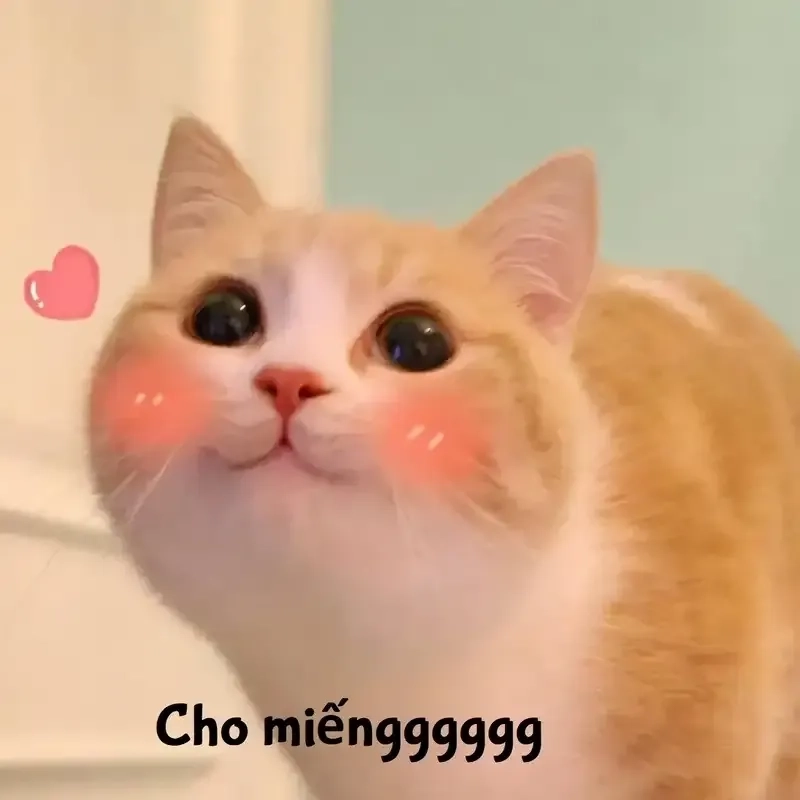 Khia ảnh meme cute độc đáo, dễ thương, khiến bạn bật cười không ngớt.