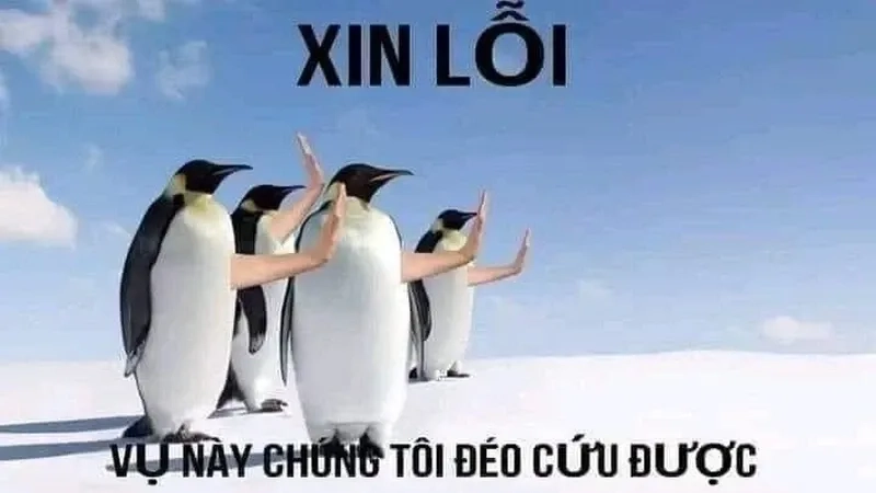 Meme hết cứu ảnh độc đáo, phản ánh góc nhìn sáng tạo và hài hước.