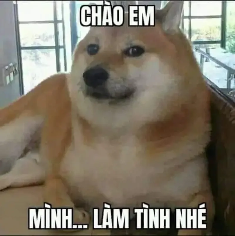 Chào em anh đứng đây từ chiều meme, câu chào hài hước siêu độc đáo.