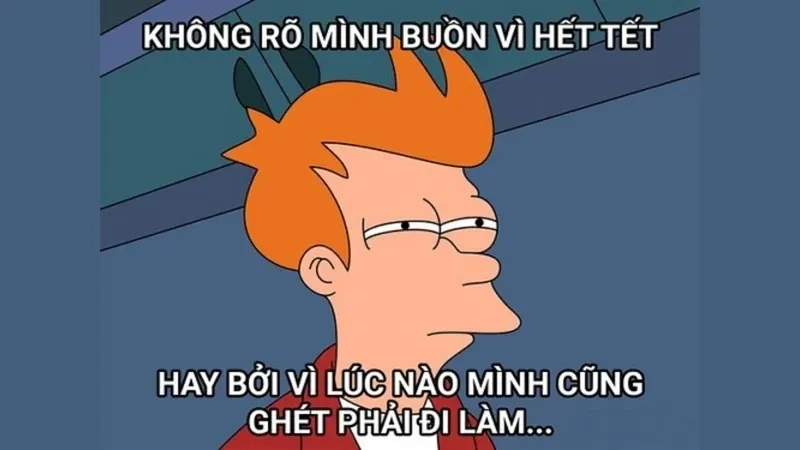 Mèo đón Tết meme với biểu cảm hài hước, thêm sắc xuân rộn ràng.