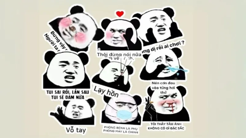 Meme gấu trúc troll face hài hước chắc chắn sẽ khiến bạn cười ra nước mắt.