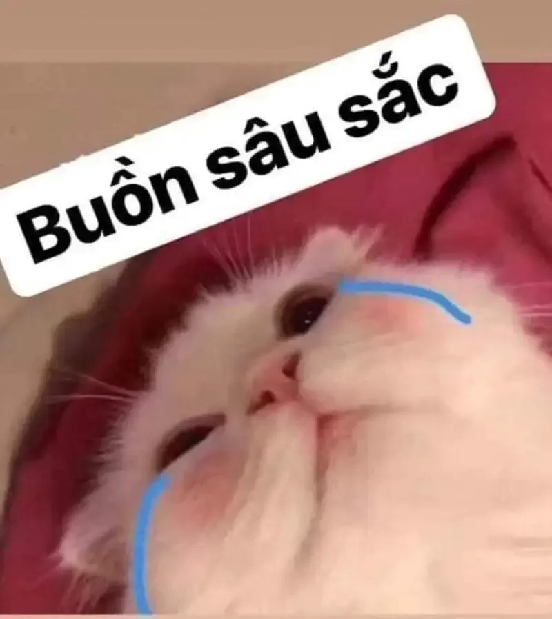 happy crying meme làm nổi bật cảm xúc vui buồn lẫn lộn.