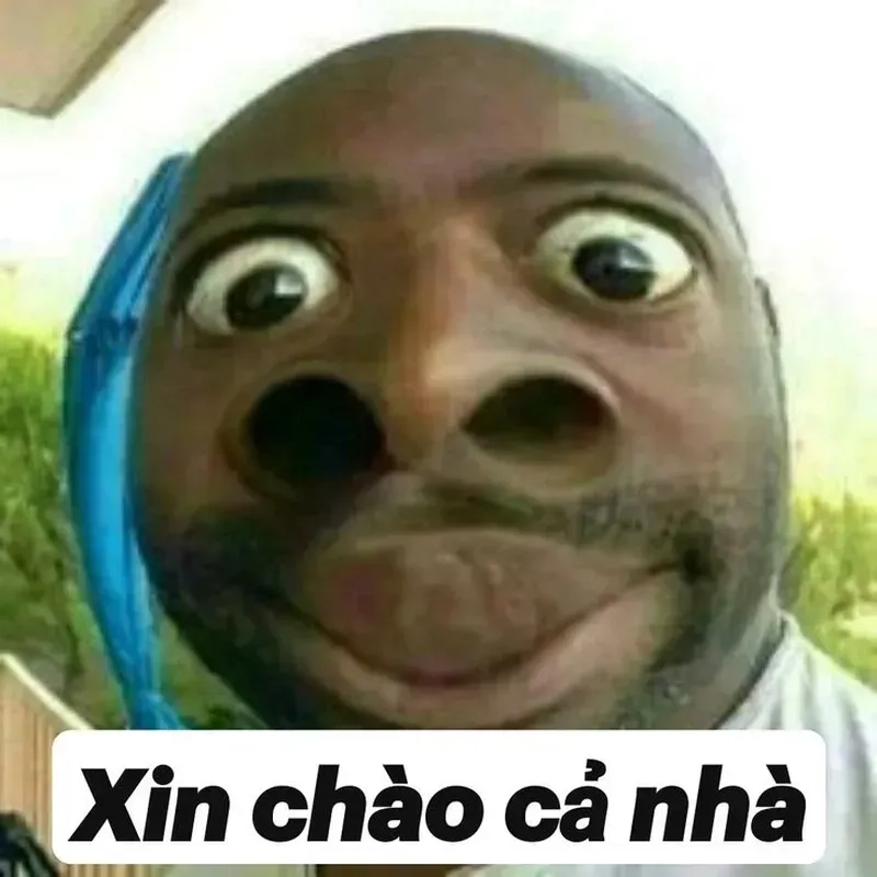 Meme hài chế khiến bạn phải cười thả ga với những tình huống vui nhộn.