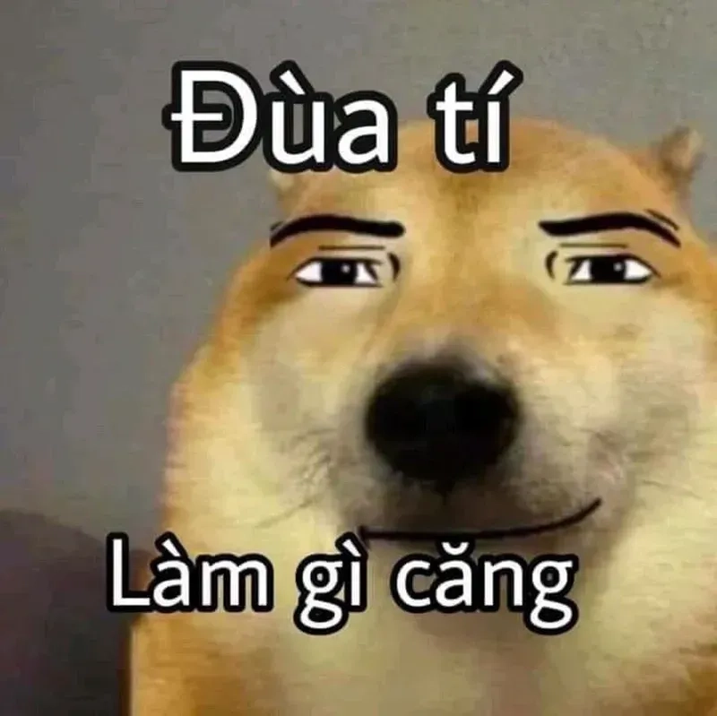 Hài hước meme ảnh thằn lằn cảm xúc gây cười nhờ những biểu cảm rất lạ.