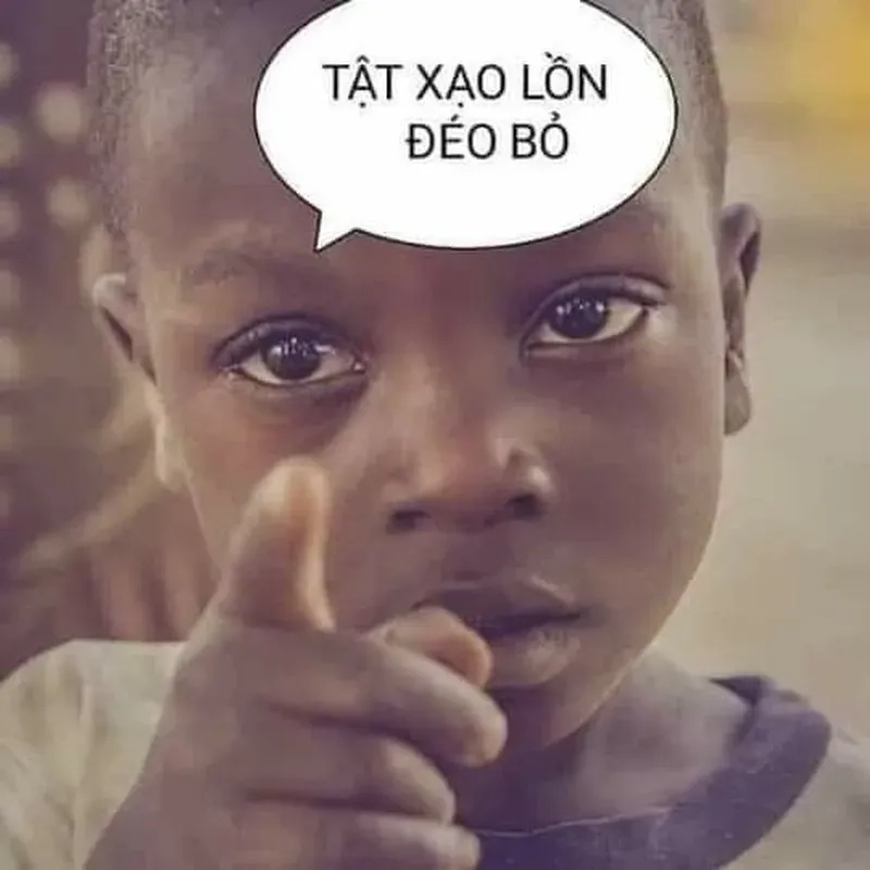 Chó meme hài mang đến sự vui nhộn không thể thiếu trong bộ sưu tập meme.