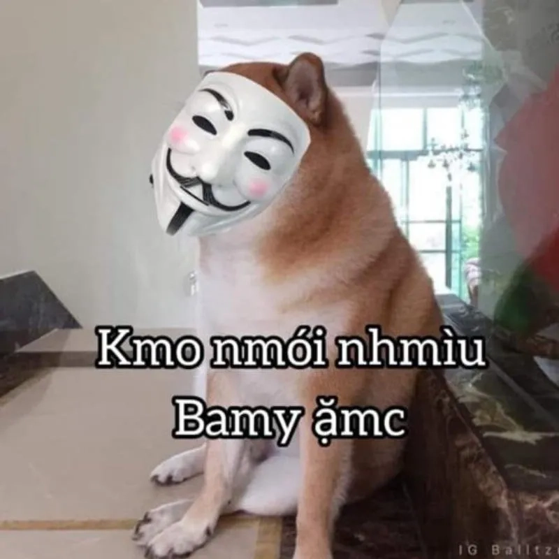 Cheems meme việt nam mang đến sự pha trộn giữa những nét đặc trưng của meme và văn hóa địa phương.