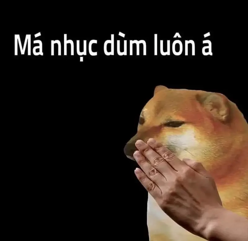 Meme Cheems bất ngờ luôn khiến bạn phải bất ngờ với những biểu cảm vui nhộn!