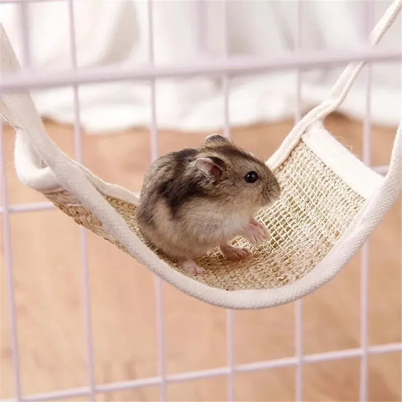 Hamster đuôi dài meme dễ thương với các biểu cảm hài hước.