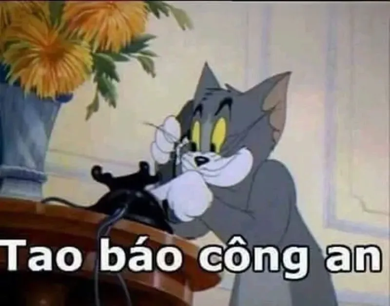 Bộ sưu tập meme police gây bão, bạn không nên bỏ lỡ.