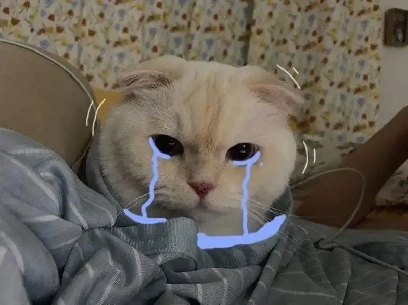 thành cry meme tạo nên sự gần gũi với cảm xúc chân thật của người dùng.