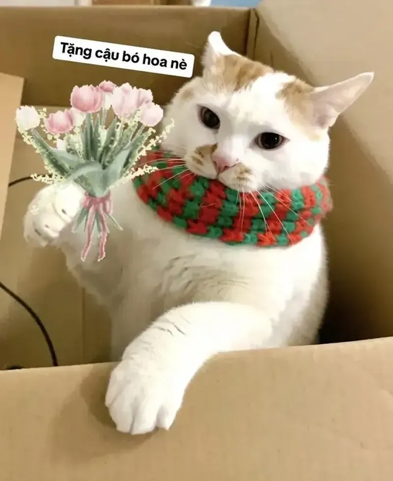 Meme Cheems tặng hoa sẽ mang lại những giây phút thư giãn và vui vẻ cho bạn.