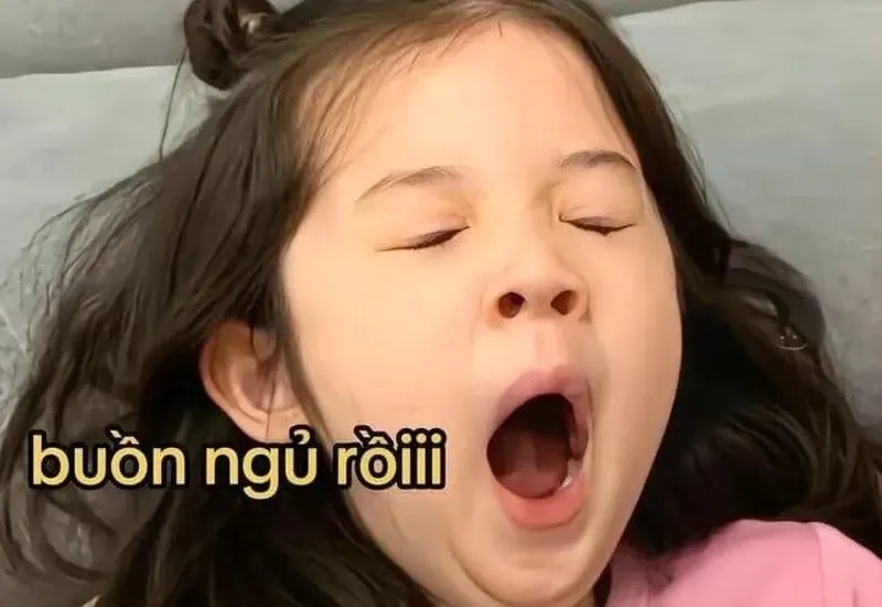 Mèo chúc ngủ ngon meme sẽ làm bạn cảm thấy dễ chịu và thư giãn.