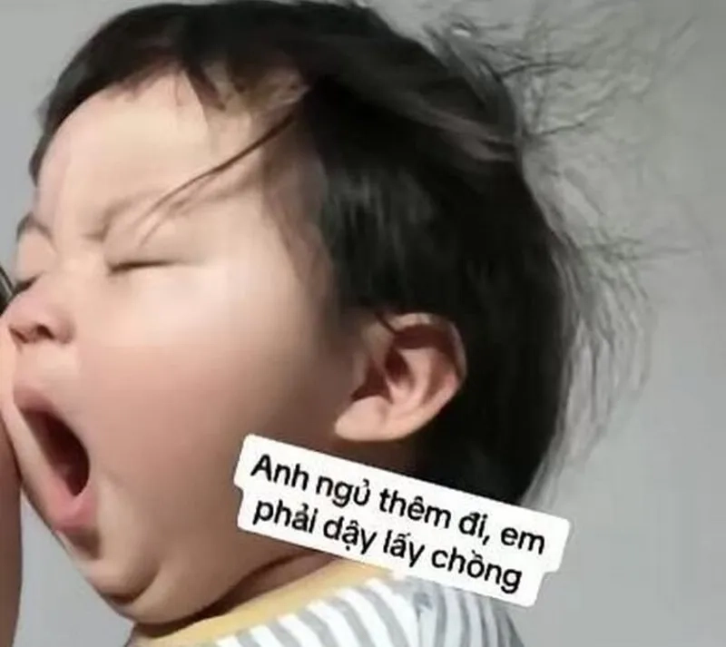 Meme ngủ quên hài hước, dành cho những ai đang vật lộn với việc thức khuya.