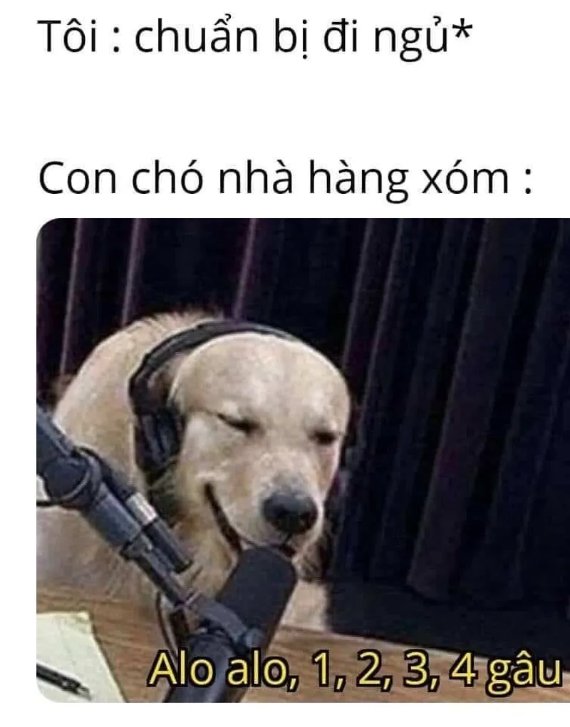 Mèo ngủ dậy meme dễ thương, khiến bạn cảm thấy thoải mái ngay cả khi vừa thức dậy.