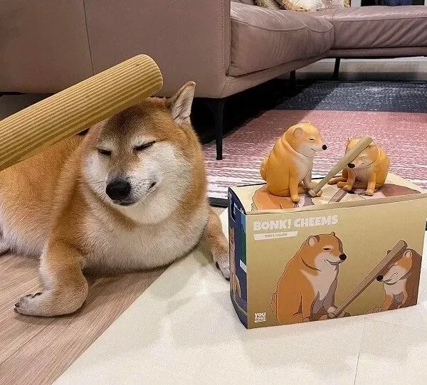 Hài hước đỉnh cao với meme doge cầm súng trong các tình huống khó đỡ.