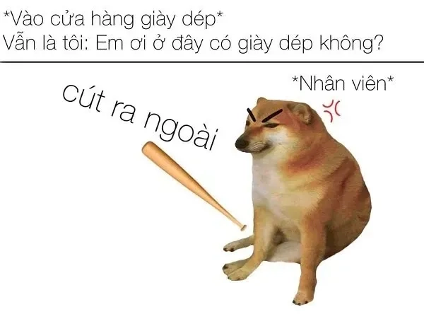 Hình ảnh Doge (meme) huyền thoại với biểu cảm dễ thương và hài hước.