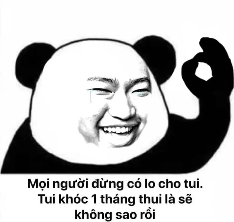 Gấu trúc troll face bựa từ Weibo đang gây sốt.