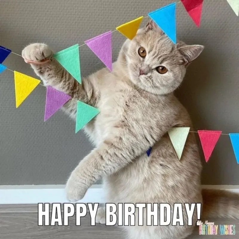 Gif happy birthday meme sống động, làm lời chúc thêm phần sinh động.