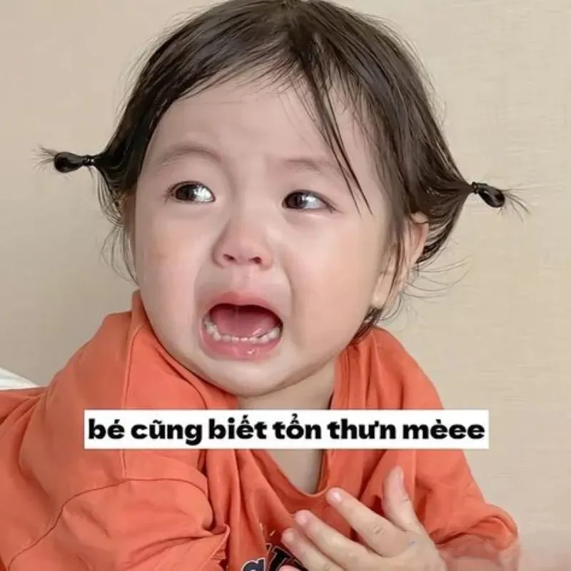 Ảnh meme đáng yêu ngập tràn sắc thái hài hước và thú vị cho mọi khoảnh khắc.