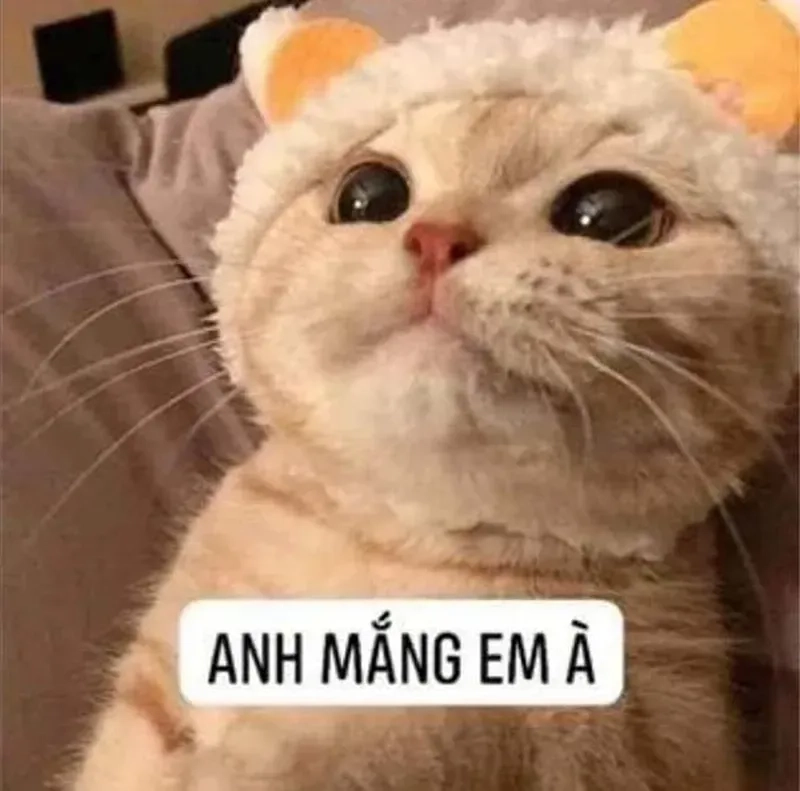 Meme đáng sợ nhưng vẫn chứa nét hài hước, làm tăng thêm sự thú vị.