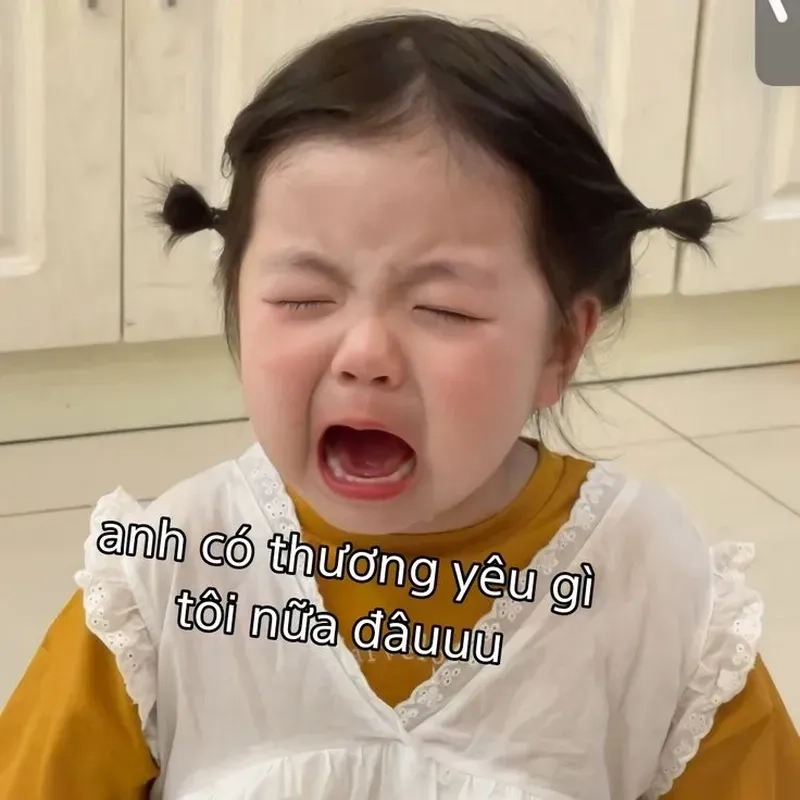 Meme đáng thương với biểu cảm hài hước, vừa buồn cười vừa dễ cảm thông.