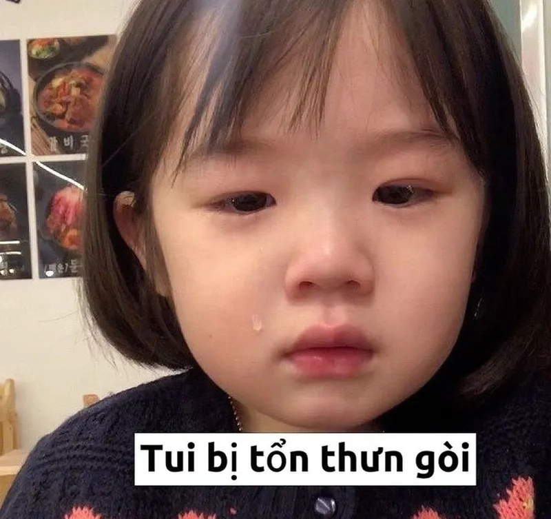 Tìm kiếm hình nền chó Shiba meme để không gian của bạn tràn ngập sự dễ thương và vui nhộn.