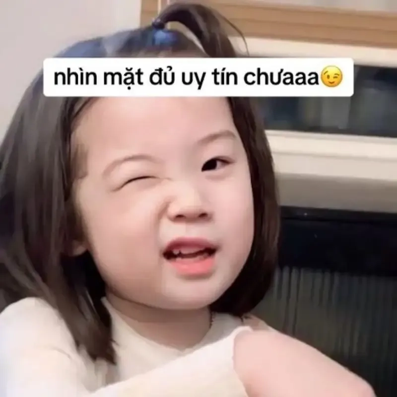 Meme mèo khóc cute với biểu cảm đáng yêu, khiến ai cũng phải bật cười.