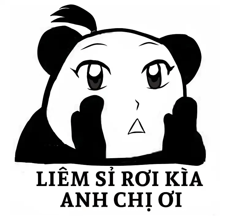 Avatar mèo cute meme cực dễ thương, thích hợp làm ảnh đại diện vui nhộn.