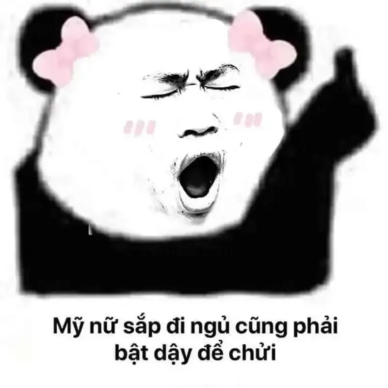 Meme em bé buồn ngủ dễ thương làm bạn muốn ngủ ngay lập tức!