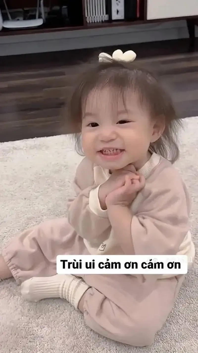 Meme gấu trúc cảm ơn – Dễ thương và hài hước, lan tỏa sự biết ơn!