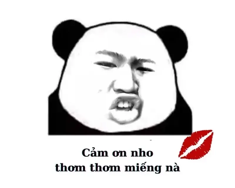 Cảm ơn Bầu Đức meme – Hài hước nhưng đầy chân thành và ý nghĩa.