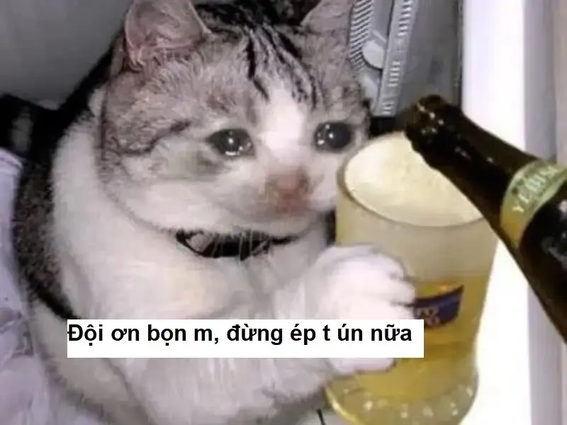 Meme cảm ơn vì đã xem – Cách tri ân ngắn gọn và dễ thương nhất.